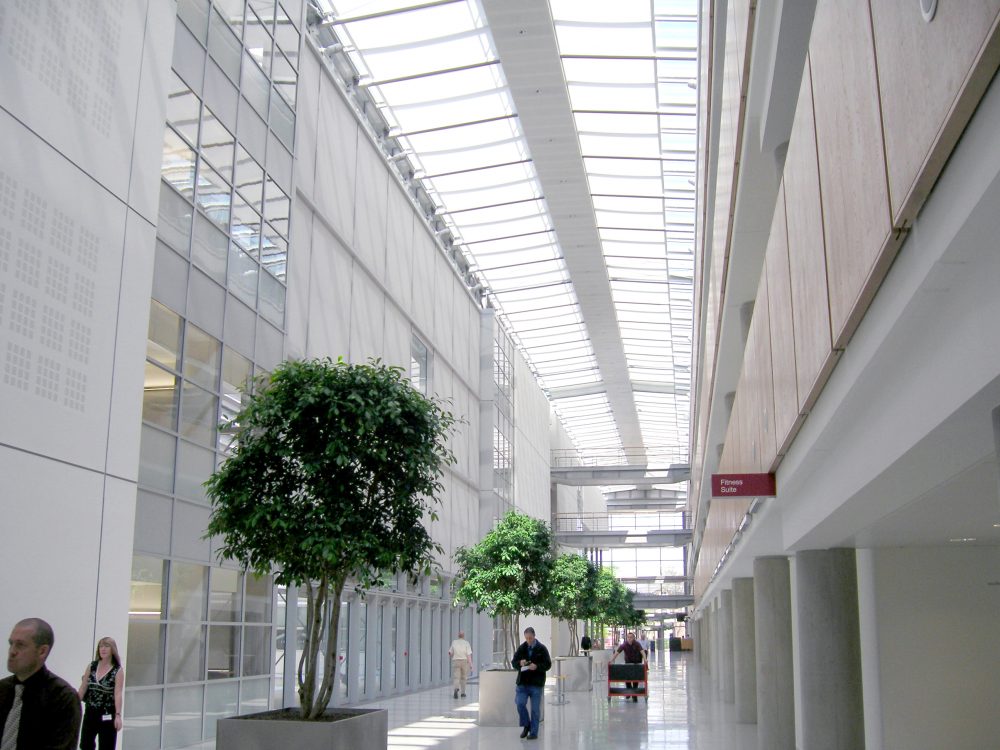 Atrium Blinds at HSE Headquarters